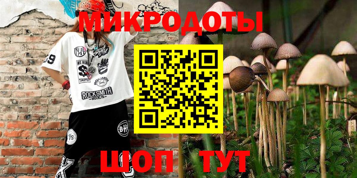 Галлюциногенные грибы Psilocybine cubensis Выкса