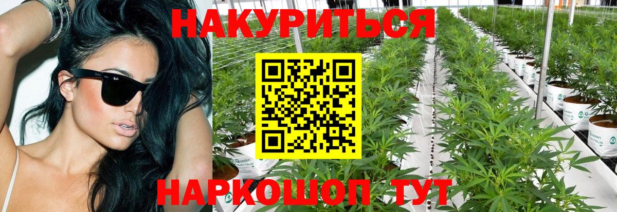 Марихуана SATIVA & INDICA Выкса